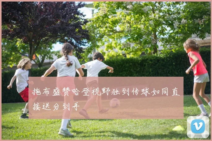 拖布盛赞哈登视野独到传球如同直接送分到手